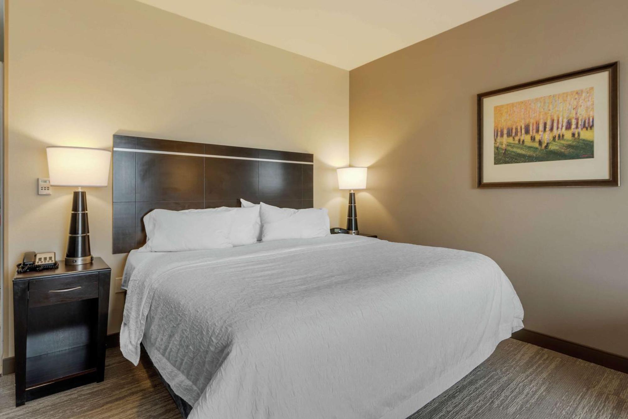 Hampton Inn Alamosa Dış mekan fotoğraf
